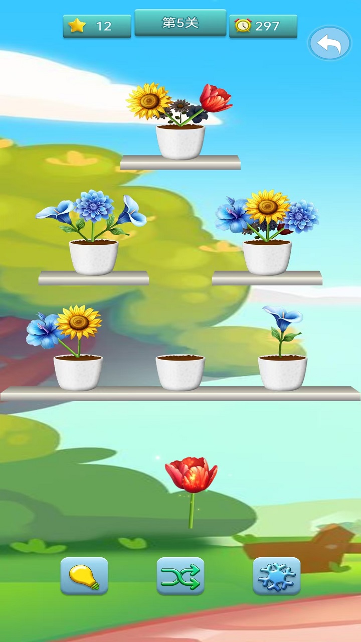 小丽花