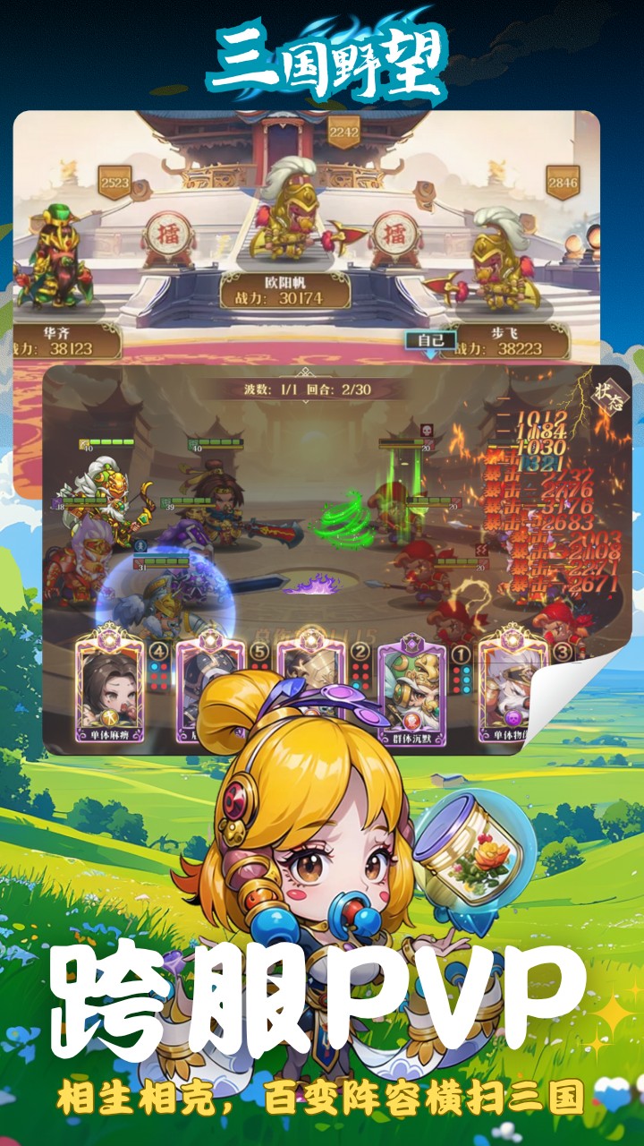 三国野望