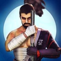 武士 战士