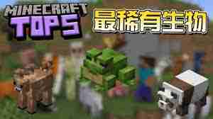 我的世界2025年自然生成方块有哪些-我的世界有哪些方块是2025年会自然生成的