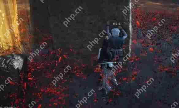 燕云十六声红缨任务全流程详解:轻松获取染血红缨攻略