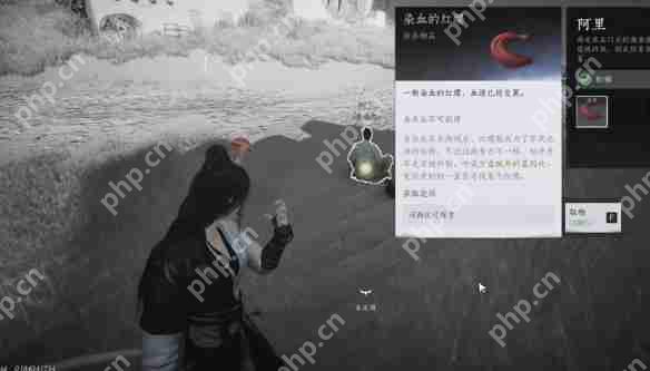 燕云十六声红缨任务全流程详解:轻松获取染血红缨攻略