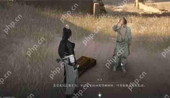 燕云十六声红缨任务全流程详解:轻松获取染血红缨攻略