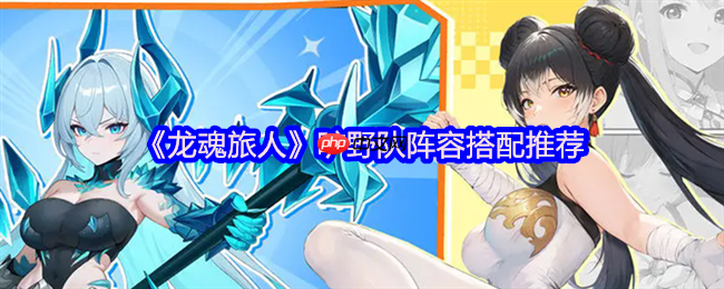 龙魂旅人旷野队最强阵容攻略：平民到高配一网打尽