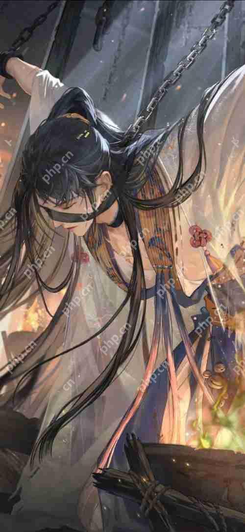 摇光录乱世公主游戏中有几个男主