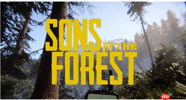 森林之子代码大全