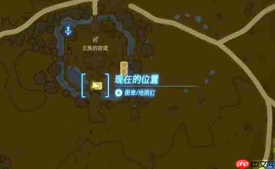 塞尔达中央海拉鲁马儿去向何方怎么过-迷你挑战马儿去向何方攻略