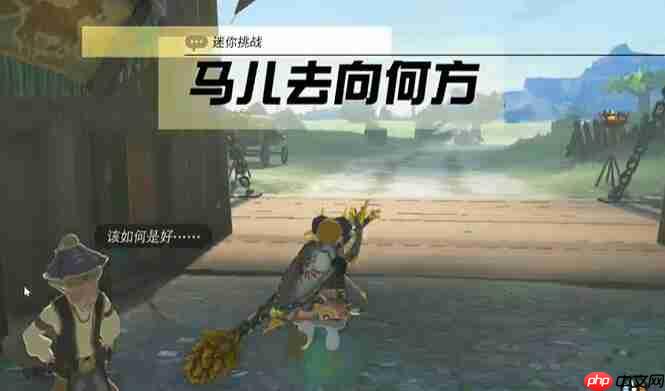塞尔达中央海拉鲁马儿去向何方怎么过-迷你挑战马儿去向何方攻略