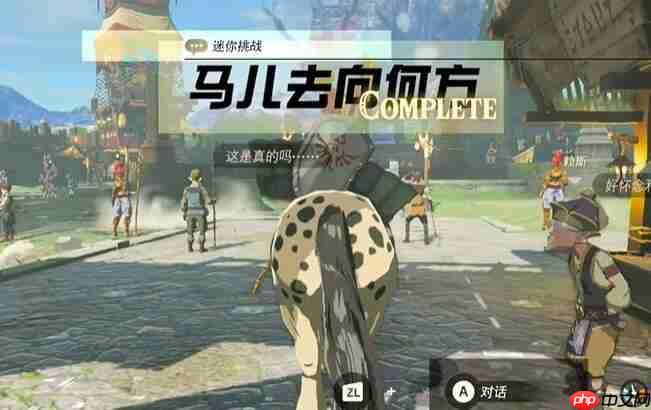 塞尔达中央海拉鲁马儿去向何方怎么过-迷你挑战马儿去向何方攻略