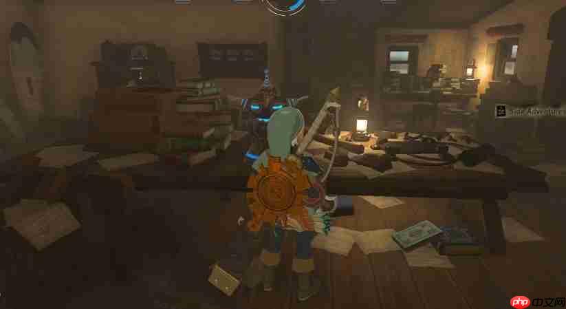 塞尔达传说王国之泪自己专属的海拉鲁图鉴任务完成方法