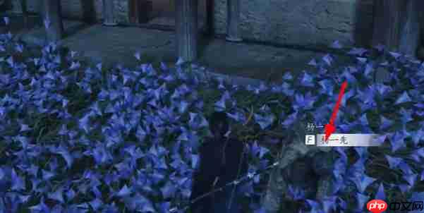 燕云十六声慈心镇第三次佛光任务完成方法