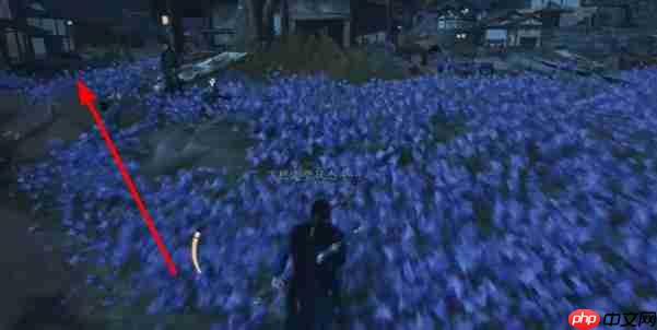 燕云十六声慈心镇第三次佛光任务完成方法