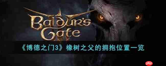 博德之门3橡树之父的拥抱在哪