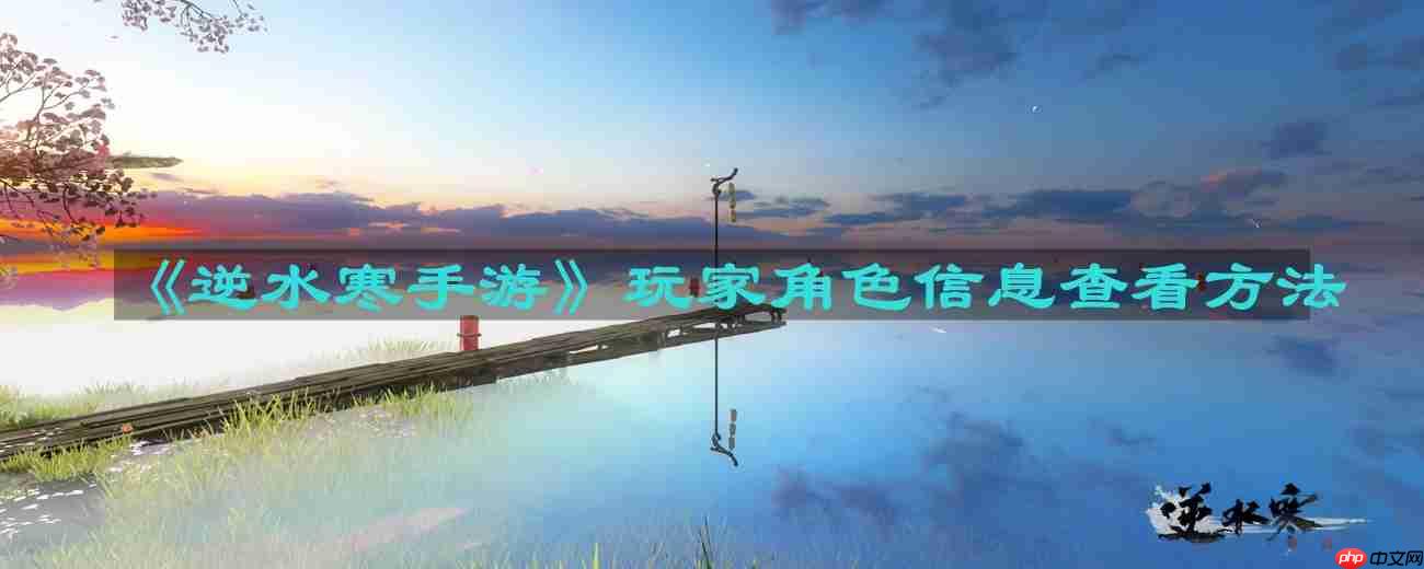 逆水寒手游玩家角色信息怎么查看-玩家角色信息查看方法