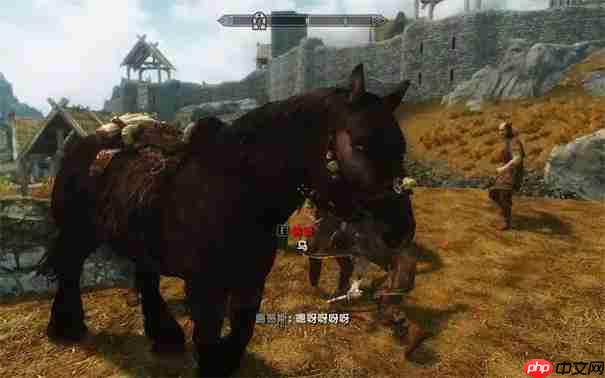 上古卷轴5马怎么召唤过来