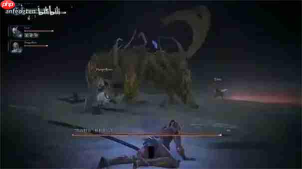 艾尔登法环黑夜君临三头野兽怎么打