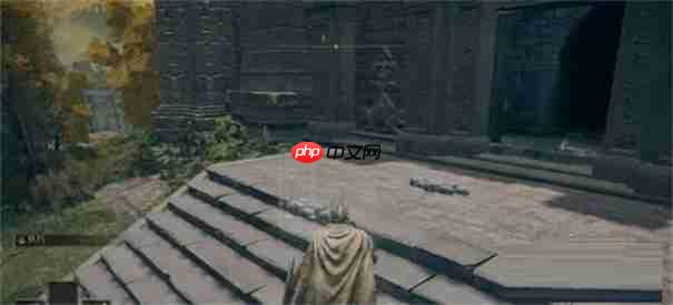 艾尔登法环黑夜君临怎么回蓝