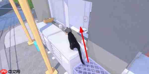 小猫咪大城市饭团帽怎么获得-小猫咪大城市饭团帽获取方法分享