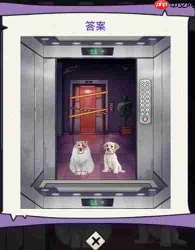 动脑我最牛深夜电梯怎么过-深夜电梯攻略