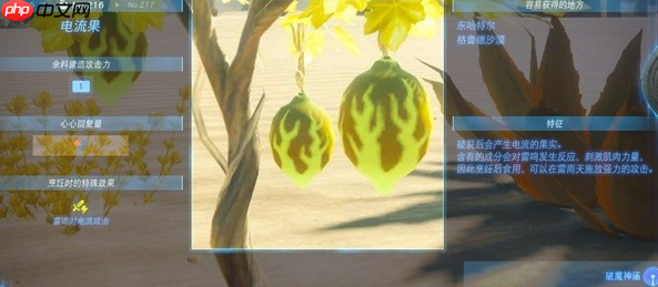 塞尔达传说王国之泪电流果在哪-电流果位置一览