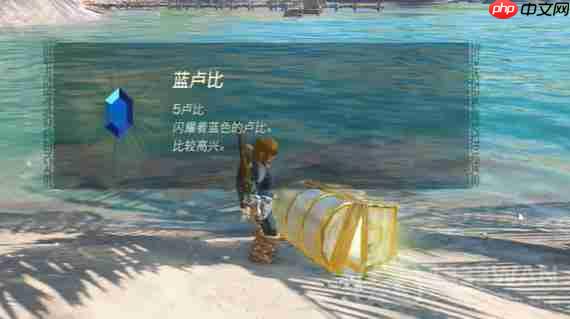 塞尔达传说王国之泪爸爸的蓝色衬衫在哪-爸爸的蓝色衬衫位置一览