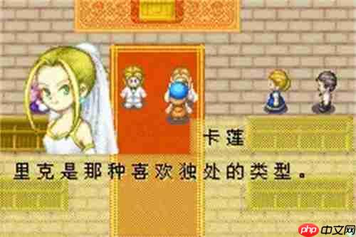 牧场物语矿石镇的伙伴们金手指代码有哪些-金手指大全