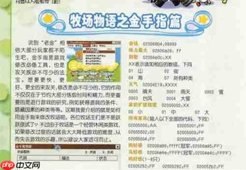 牧场物语矿石镇的伙伴们金手指代码有哪些-金手指大全