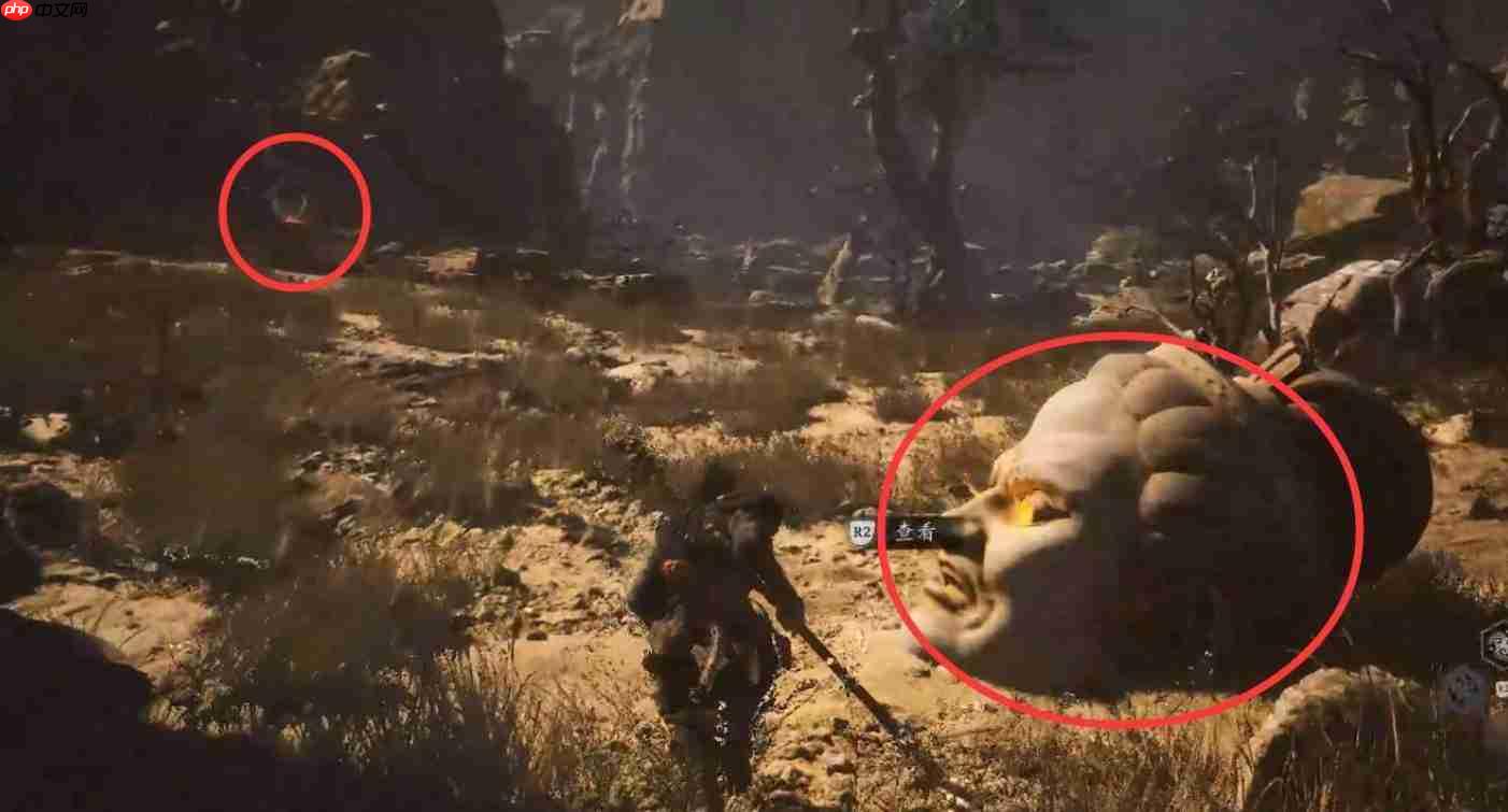 黑神话悟空6个佛目珠获取位置一览