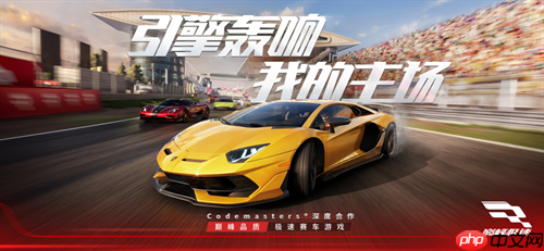 巅峰极速新手操控设置攻略