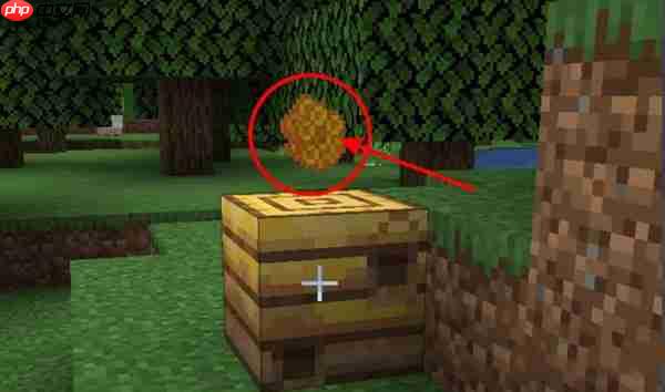 我的世界养殖蜜蜂方法