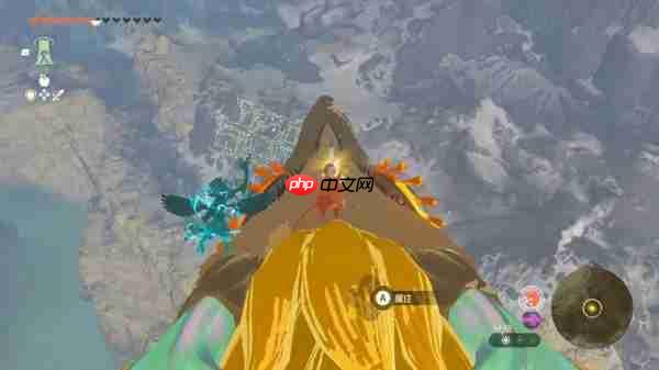 王国之泪大师剑怎么拿