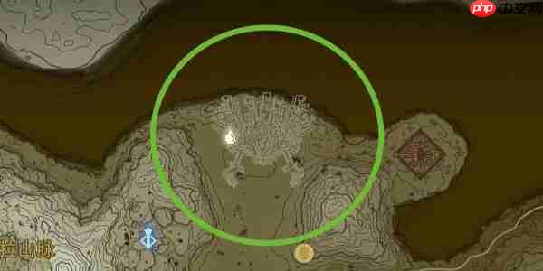 王国之泪大师剑怎么拿