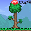 王国之泪大师剑怎么拿