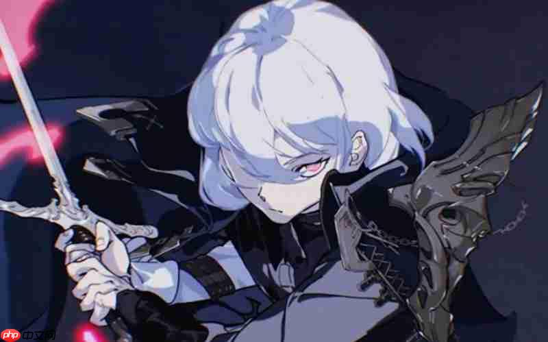 银与绯是哪个公司开发的 银与绯开发商详细介绍