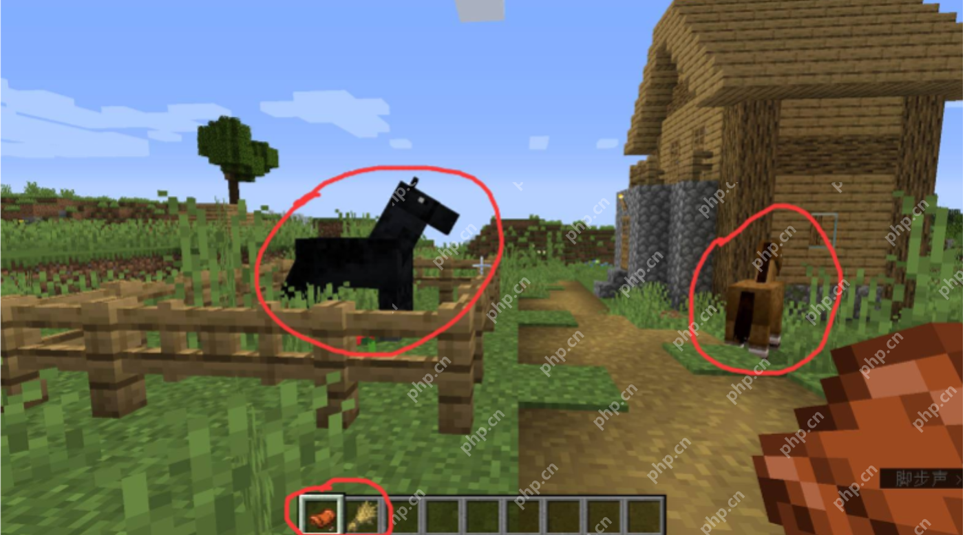 我的世界怎么驯服马？ - IT下载站