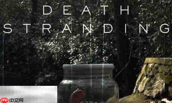 死亡搁浅2怎么治疗 治疗方式介绍