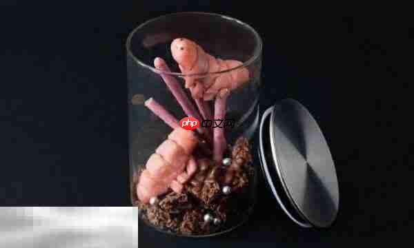 死亡搁浅2怎么治疗 治疗方式介绍