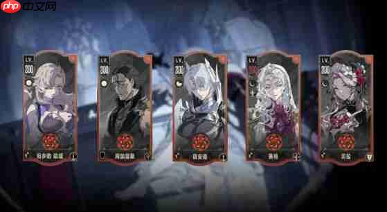 银与绯平民阵容两大流派推荐