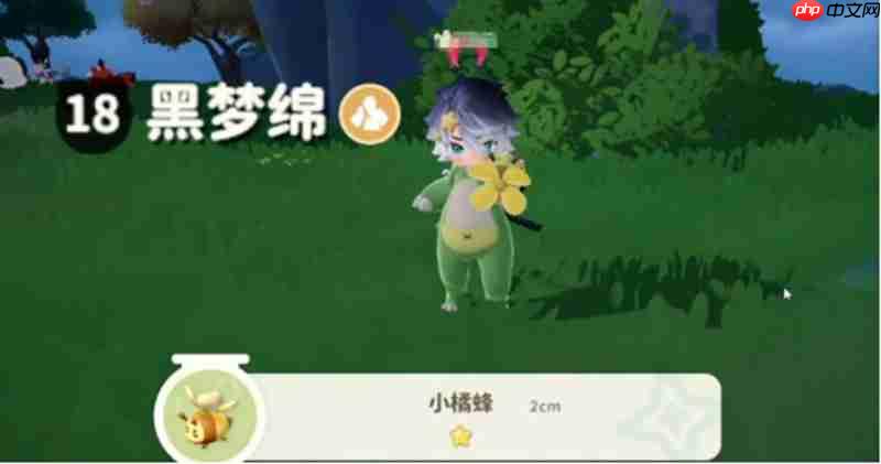 米姆米姆哈小橘蜂怎么抓 小橘蜂捕捉地点与方法